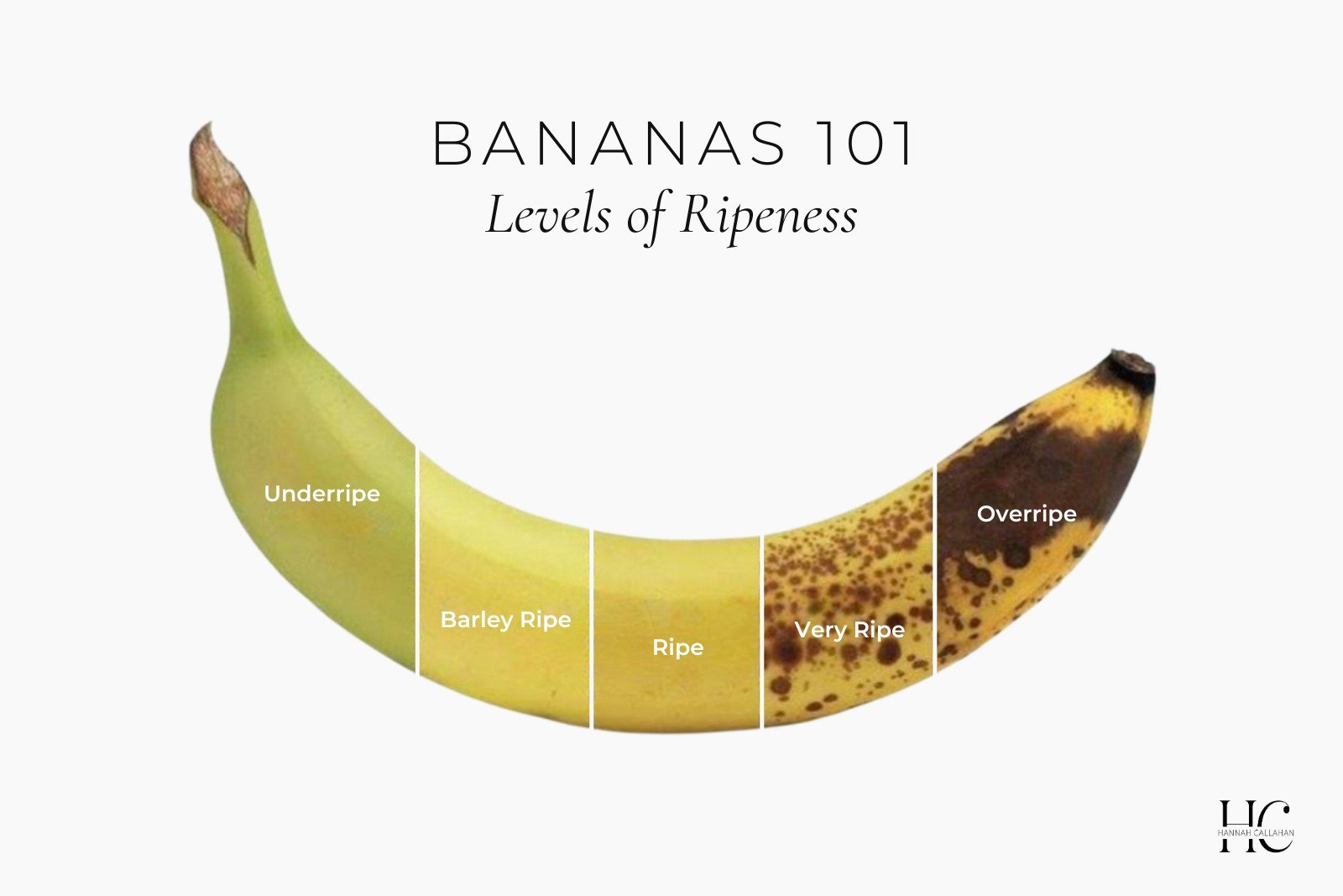 Bananas Levels of Ripeness by itshannahcallahan