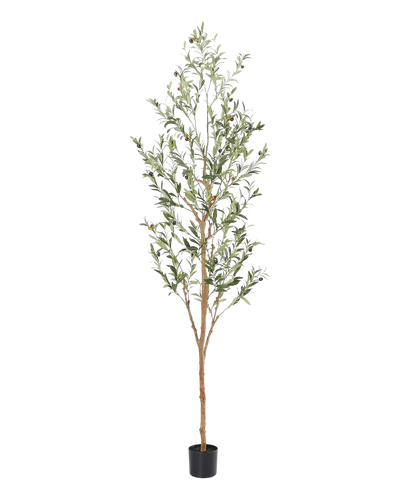 Bellacat Faux Olive Tree_Toddler Playroom