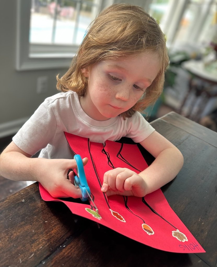 Hollis Cutting School Work_Our Experience with Incomplete Kawasaki Disease in a Toddler