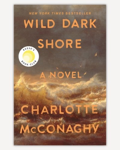 Wild Dark Shore by Charloette McConaghy